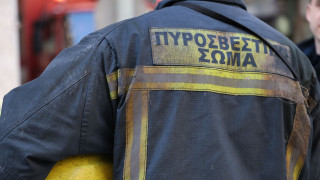 Φωτιά σε εκκοκιστήριο βάμβακος στη Βοιωτία - Συναγερμός στην Πυροσβεστική