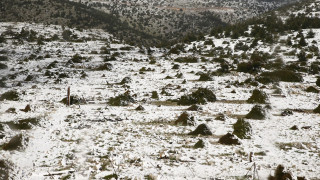 Μάιος με χιόνια σε Πάρνηθα, Παρνασό, Καλάβρυτα, Πήλιο - Κλειστή η λεωφόρος Πάρνηθος από το τελεφερίκ