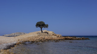 Λιβάνια Ποσειδωνίας, «πυξίδα» το Αμοργόραμα: Προεδρικό Διάταγμα για την προστασία του Αιγαίου