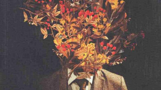 Bookreads - «Ρίζες»: Η Ματίνα Αποστόλου γράφει για όσα μένουν μέσα μας