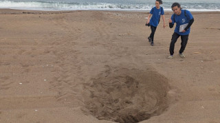 ΑΡΧΕΛΩΝ: Οι πρώτες φωλιές Caretta caretta για το 2026 είναι γεγονός