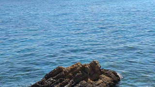Κολυδάς: Ποιες «πιθανές πηγές» πρέπει να διερευνηθούν για την οσμή αερίου - «Λύματα ή φυτοπλαγκτόν»