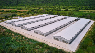 Νητσιάκος: Εξαγορά έως το 70% της εταιρείας από ουκρανικό όμιλο