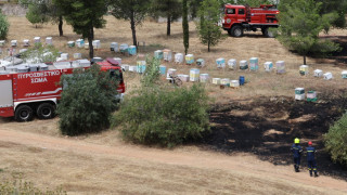 Από μελίσσια ξεκίνησε η φωτιά στο Άλσος Βεΐκου – Αναζητούνται οι μελισσοκόμοι