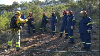   Συνεργασία Procter & Gamble και WWF Ελλάς: 5 χρόνια δράσης για τα ελληνικά δάση