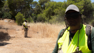 Καθαρισμός οικοπέδων - ΠΟΜΙΔΑ: «Καθαρίστε τα τώρα, μπορεί να σας γλιτώσει από το πρόστιμο»