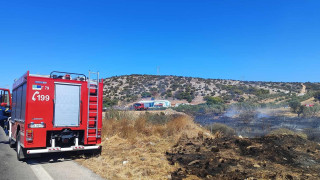 Μεγάλη φωτιά κοντά στην Κάρυστο - Επιχειρούν επίγειες και εναέριες δυνάμεις