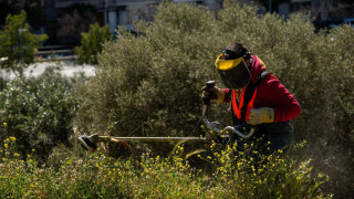 Από την Τρίτη οι έλεγχοι για τα ακαθάριστα οικόπεδα- Τουρνάς: Να περιορίσουμε τις ενάρξεις πυρκαγιών