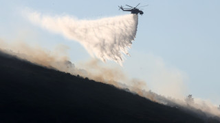 Σε ύφεση η φωτιά στη Βοιωτία: Καταστροφές σε καλλιέργειες και ποιμνιοστάσια