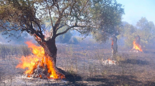 Μήνυμα 112 για τη φωτιά στα Σπάτα: «Παραμείνετε σε ετοιμότητα»
