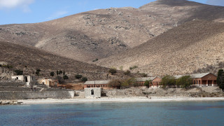 Γιατί η Γυάρος είναι από τα σημαντικότερα «hotspots» βιοποικιλότητας της Μεσογείου