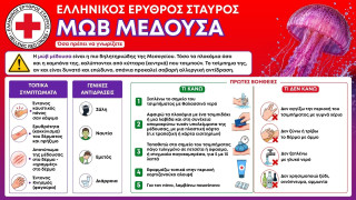 Τι πρέπει να κάνετε αν σας τσιμπήσει μωβ μέδουσα - Οδηγίες από τον Ελληνικό Ερυθρό Σταυρό
