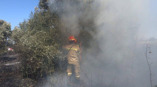 Δύο συλλήψεις για πυρκαγιά από αμέλεια στη Σπάρτη Λακωνίας και στο Σαραβάλι Αχαΐας