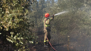 Υπό μερικό έλεγχο τέθηκε η φωτιά στην Καλαμιώνα Ρόδου