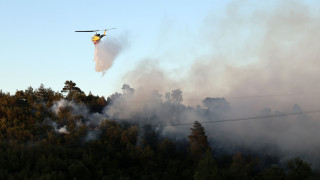 Πάνω από 40 πυρκαγιές το τελευταίο 24ωρο σε όλη τη χώρα