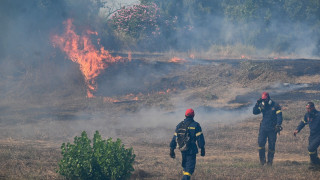 Συνεχείς αναζωπυρώσεις στη φωτιά στη Βάρδα Ηλείας - Κάηκαν λιοστάσια, κινδύνεψε εκκλησάκι
