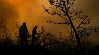 Σε εξέλιξη μεγάλη φωτιά στη Σμύρνη - Απειλεί κατοικημένη περιοχή
