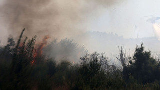 Υπό μερικό έλεγχο η φωτιά στη Μαριολάτα Φωκίδας