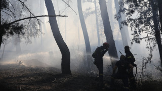 Τραγωδία από τη φωτιά στο Δερβένι: Εντοπίστηκε και δεύτερη σορός - Φόβοι ότι ανήκει στον 12χρονο