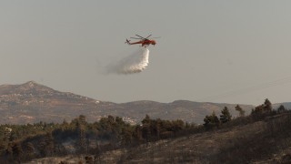 Πυρκαγιά στη Νέα Απολλωνία Θεσσαλονίκης: Στην κατάσβεση και εναέρια μέσα