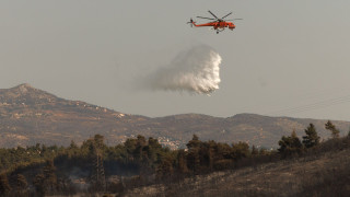 Ενισχύθηκαν οι δυνάμεις στην φωτιά στην Άρτα: Συνεχείς ρίψεις από έξι αεροσκάφη και ελικόπερα
