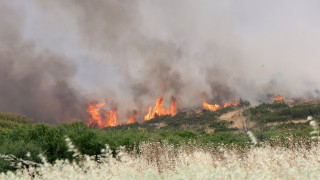 Τέσσερις συλλήψεις για τις φωτιές σε Αργολίδα, Καβάλα και Κορινθία - Από φωτιά σε ΙΧ ξέσπασαν οι δύο