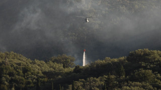 Οριοθετήθηκε η πυρκαγιά στα Βασιλικά της Κέρκυρας - Ισχυρές δυνάμεις στο σημείο