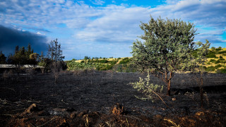 Μέσα σε μία ώρα οριοθετήθηκε η φωτιά στη Χαλκίδα