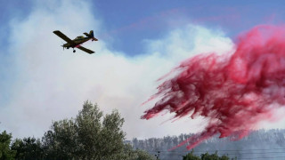Φωτιά στην Οινόη: Καίγεται πευκοδάσος - Διακοπή κυκλοφορίας στην ΠΕΟ Αθηνών - Θηβών
