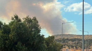 Η φωτιά στην Οινόη επεκτάθηκε σε πευκόφυτο δάσος - Ήχησε το 112 για ετοιμότητα