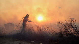 Κάηκε το 38% των δασών της Αττικής μέσα σε εννέα χρόνια - 700.000 στρέμματα έγιναν στάχτη