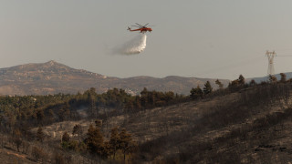 Καλύτερη εικόνα στη φωτιά στη Σκάλα Ερεσσού Μυτιλήνης