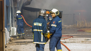 Θεσσαλονίκη: Σύλληψη 70χρονου για εμπρησμό από αμέλεια - Προσπάθησε να απομακρύνει σφήκες με φλόγα
