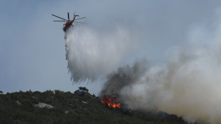 Σε ύφεση και χωρίς ενεργό μέτωπο η πυρκαγιά στον Ωρωπό - Σε επιφυλακή οι πυροσβεστικές δυνάμεις