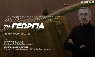 Τα ελληνικά κηπευτικά απειλούνται από τον αθέμιτο ανταγωνισμό