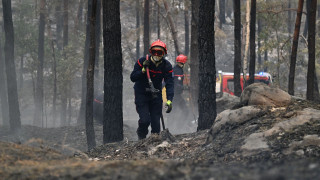 Γαλλία: Έξι συλλήψεις για τη φωτιά στο Φοντενεμπλό - Μεταξύ των υπόπτων και ένας πυροσβέστης