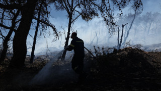 Θεσσαλονίκη:Υπό μερικό έλεγχο η πυρκαγιά στο Ανατολικό του Δήμου Δέλτα