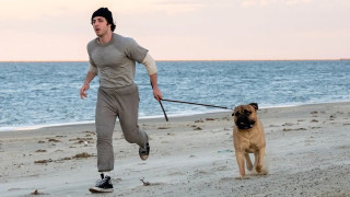 «I Play Rocky»: Κυκλοφόρησε το πρώτο τρέιλερ της ταινίας για τη δημιουργία του θρυλικού «Rocky»