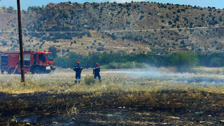 Χωρίς ενεργό μέτωπο η πυρκαγιά στα Πολιτικά Ευβοίας