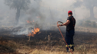 Φωτιά σε αγροτική έκταση στους Σοφάδες Καρδίτσας