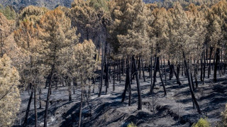 Φωτιές στην Ισπανία: Στάχτη 260.000 στρέμματα, εκκενώθηκαν 28 οικισμοί, 1.200 ετοπισμένοι