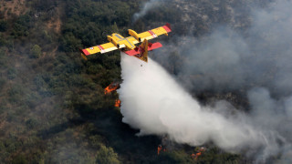 Αλγερία: Έξι νεκροί από τις φονικές πυρκαγιές - Σε εξέλιξη η καταγραφή των ζημιών