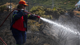 Θεσσαλονίκη: Φωτιά σε δασική έκταση στο Φίλυρο - Ισχυρές επίγειες και εναέριες δυνάμεις