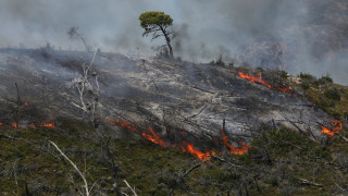 Συνελήφθη 27χρονος για την πυρκαγιά στο Κορωπί - Προκλήθηκε από εγκατάσταση ρευματοκλοπής