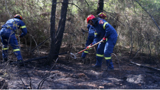 Οριοθετήθηκε η πυρκαγιά σε δασική έκταση στα Οινόφυτα