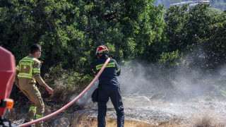 Γιάνναρος: Με «οδηγό» τον άνεμο καίει η φωτιά στην Κρήτη-Τι ρόλο έπαιξαν στροβιλισμοί και κηλιδώσεις