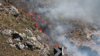 Καίγεται το φοινικόδασος στην Πρέβελη στην Κρήτη
