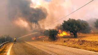 Πύρινη κόλαση στη Βοιωτία: Οι φλόγες μπήκαν στο χωριό Ξηρονομή - Απανωτά τα μηνύματα 112