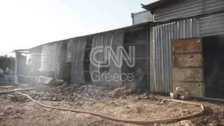 Σε πύρινο κλοιό: Στην Αγία Παρασκευή το κύριο «μέτωπο» στο Ρέθυμνο, μήνυμα 112 στην Φλόκα Αχαΐας