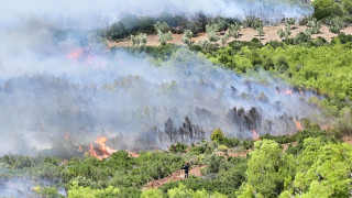 Mέχρι τη Λακωνία έφτασε ο καπνός από τις πυρκαγιές σε Βοιωτία και Αργολίδα - Δορυφορικές εικόνες
